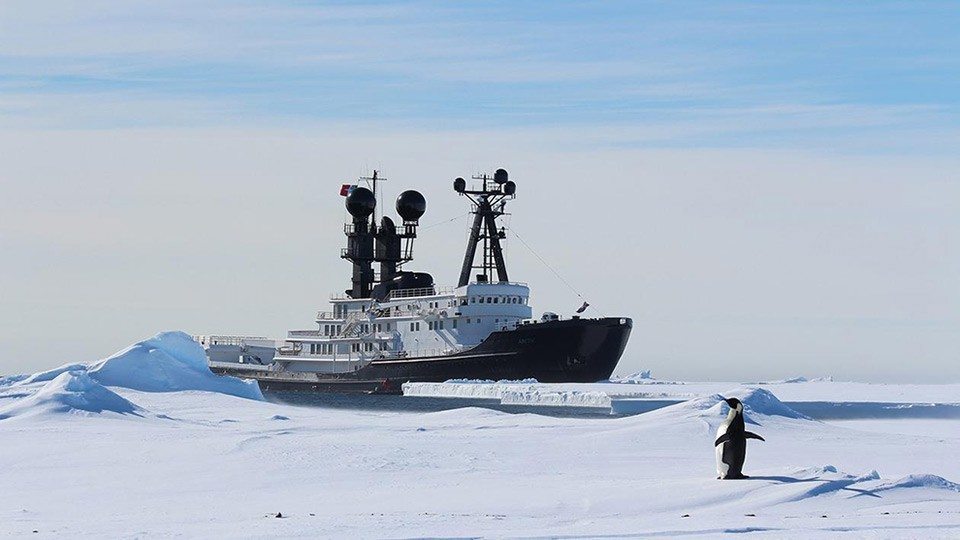arctic-p-yacht